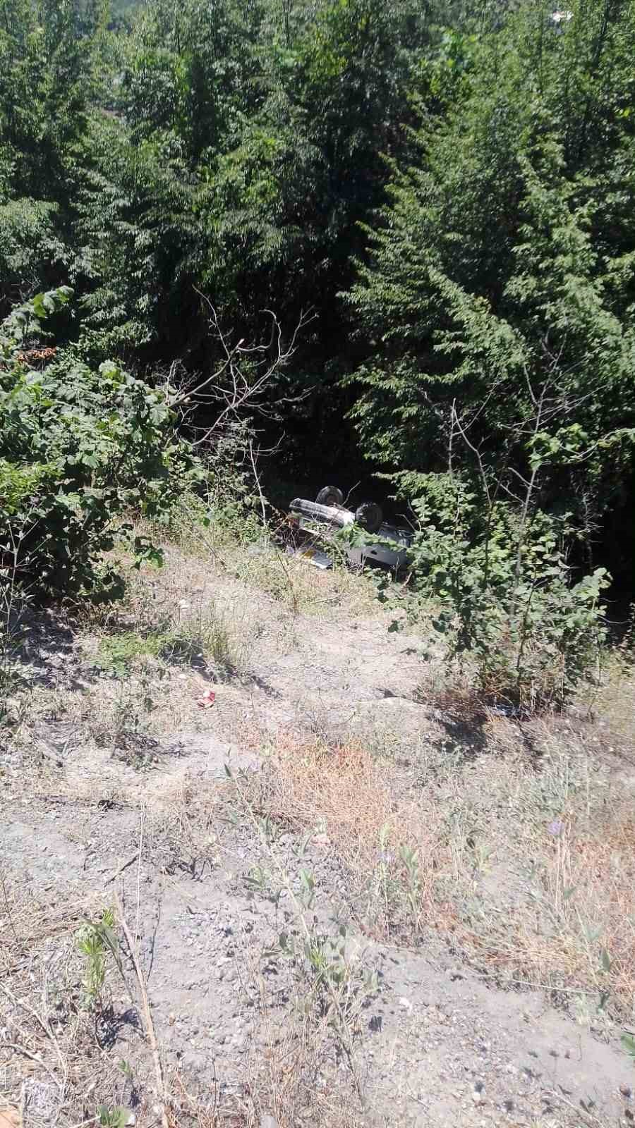 Ormanlık alana uçan otomobildeki 3 kişi yaralandı