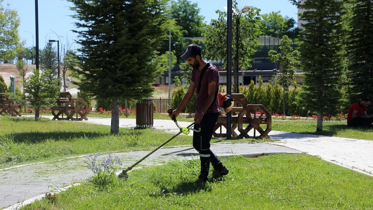 Elazığ’da yeşil alanlarda düzenleme çalışmaları sürüyor