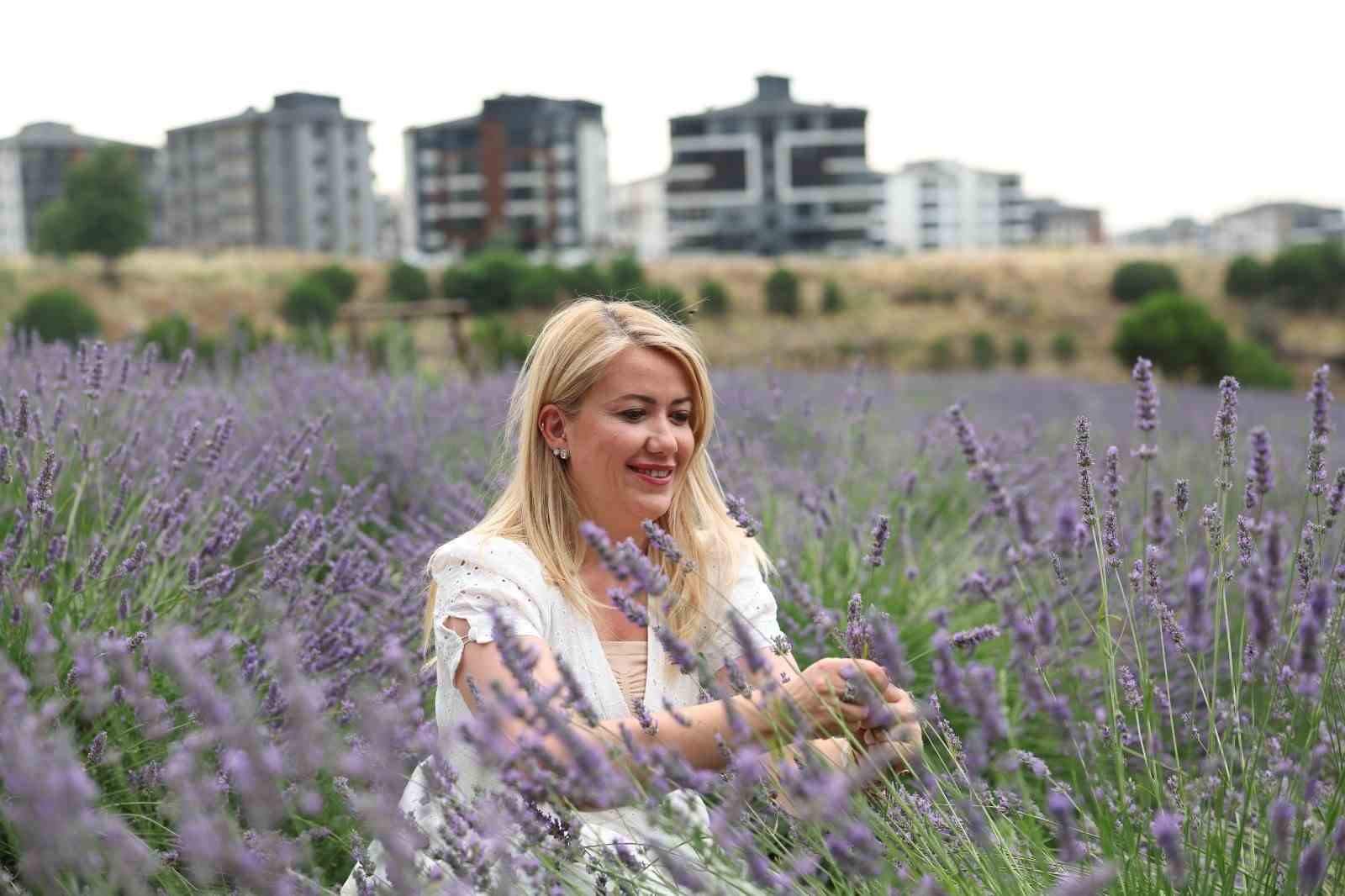 Merkezefendi’nin mor güzelliği lavanta bahçesi yoğun ilgi görüyor