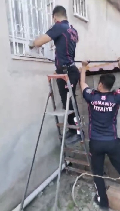 Patisi pencere demirine sıkışan kediyi itfaiye kurtardı