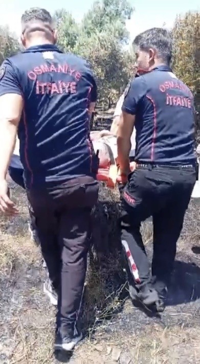 Osmaniye’de anız yangını meyve bahçelerine sıçradı: 1 kişi hastanelik oldu