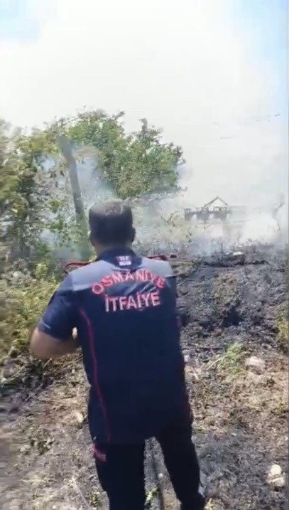 Osmaniye’de anız yangını meyve bahçelerine sıçradı: 1 kişi hastanelik oldu