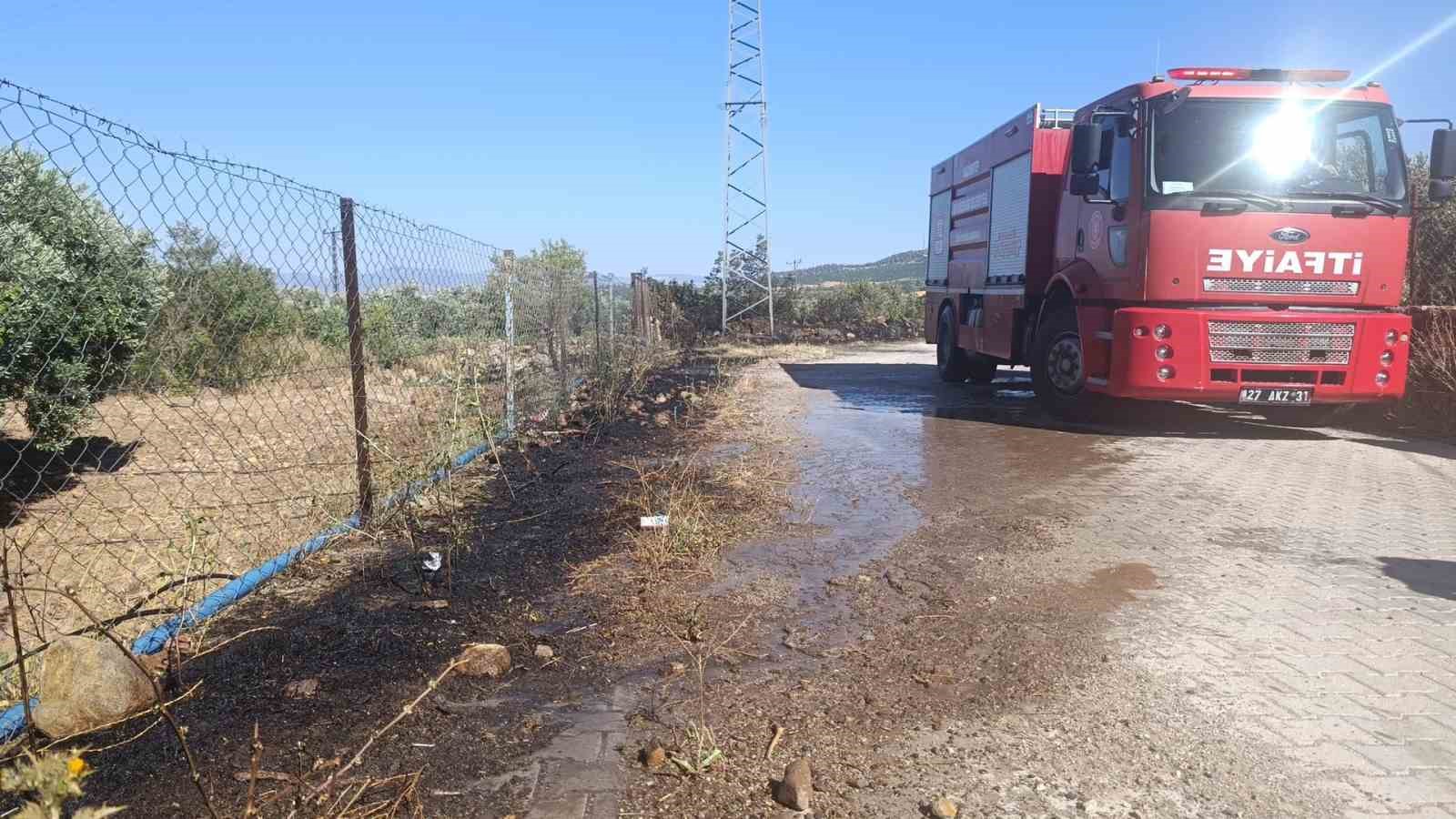 Gaziantep’te zeytinlik alanda yangın