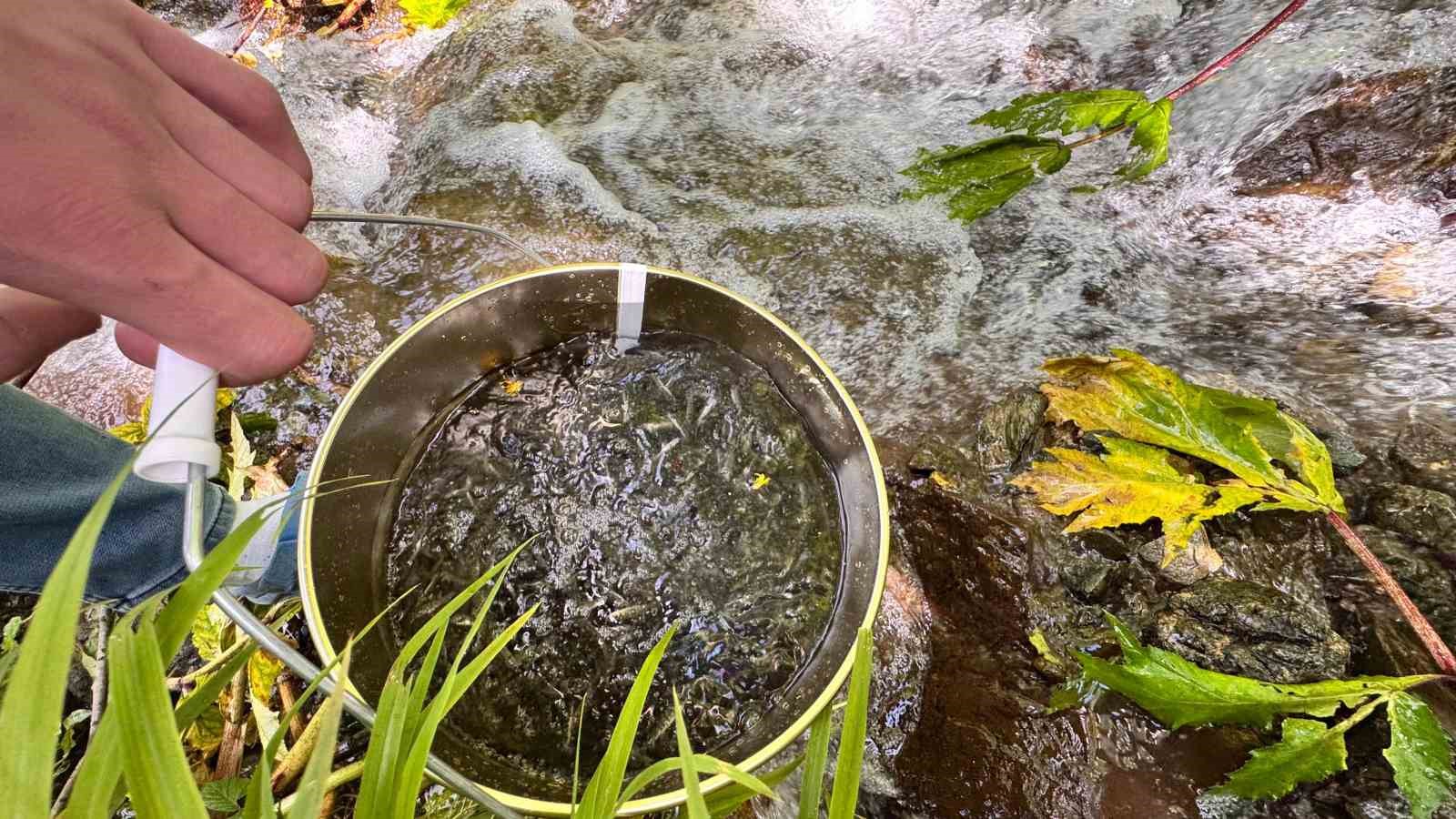 Uzungöl ve çevresindeki derelere 15 bin kırmızı benekli yavru alabalık bırakıldı