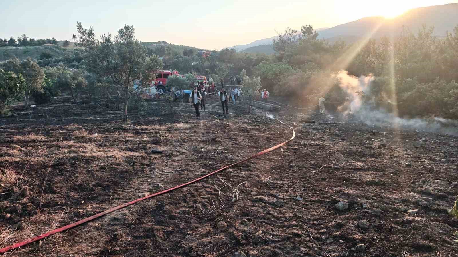 Bilecik sınırına yaklaşan alevler kontrol altına alındı