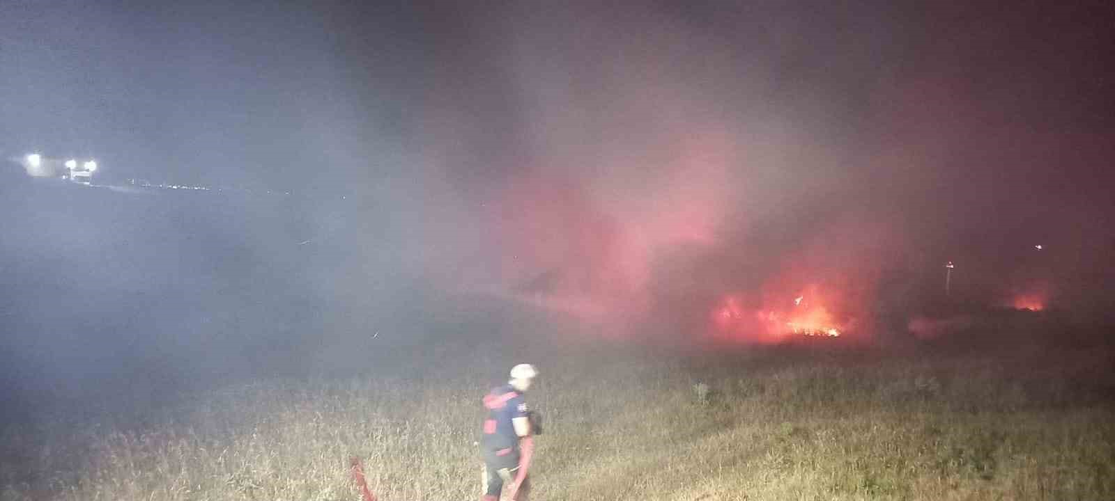 Bandırma’da eski askeri çamlıkta çıkan yangın söndürüldü
