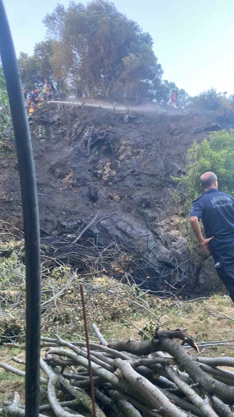 Marmara’da çıkan ot yangını ormana sıçramadan söndürüldü