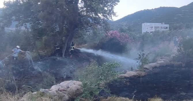 Hassa’da zeytinlik alan yangını