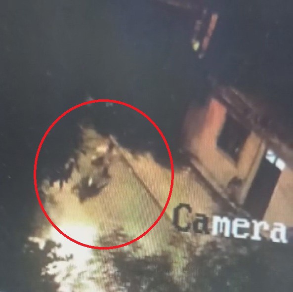 Motosikleti rahat tavırlarla çalan hırsızın o anları kamerada