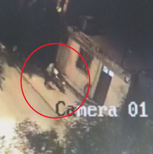 Motosikleti rahat tavırlarla çalan hırsızın o anları kamerada