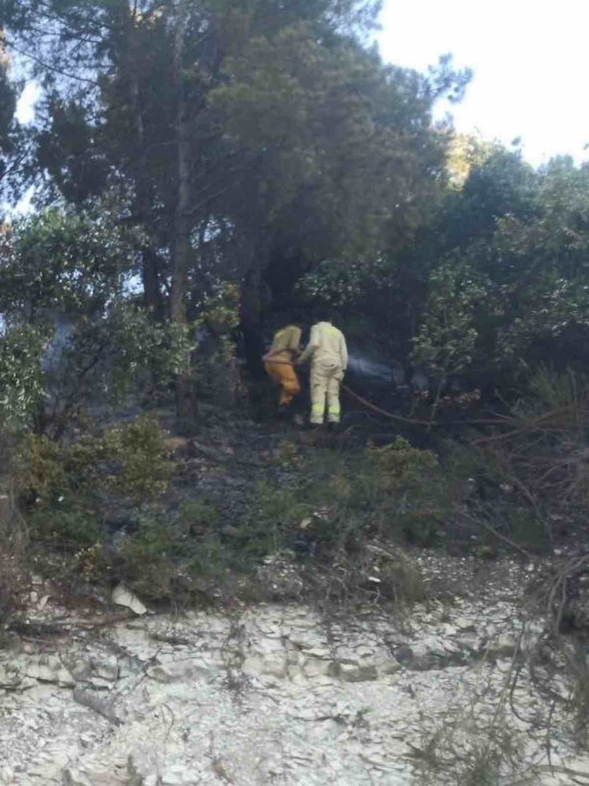 Yayladağı’nda ormanlık alanda çıkan yangın kontrol altına alındı
