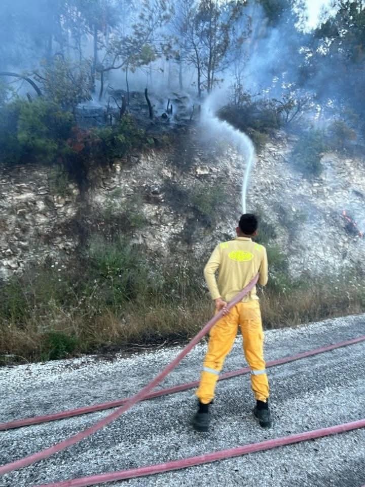 Yayladağı’nda ormanlık alanda çıkan yangın kontrol altına alındı