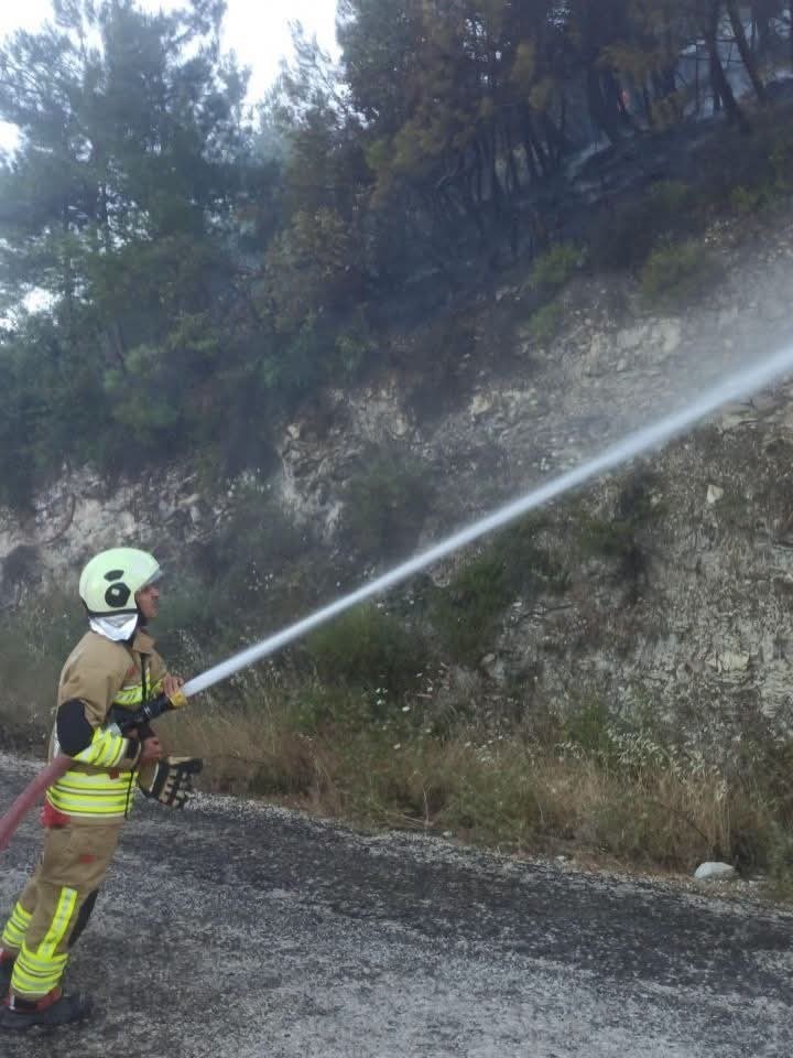 Yayladağı’nda ormanlık alanda çıkan yangın kontrol altına alındı