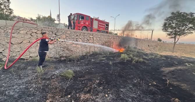 Kırıkhan’da zeytinlik alan yangını