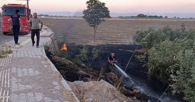 Kırıkhan’da zeytinlik alan yangını