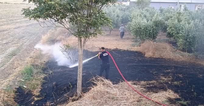 Kırıkhan’da zeytinlik alan yangını