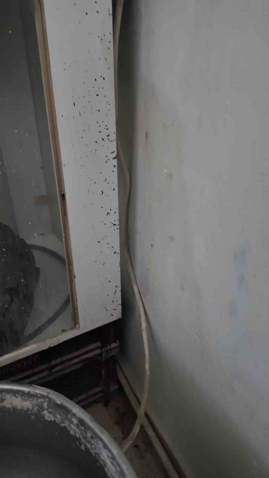 Böceklerin ve sigara izmaritlerinin yerlerde gezdiği fırında mide bulandıran görüntüler ortaya çıktı
