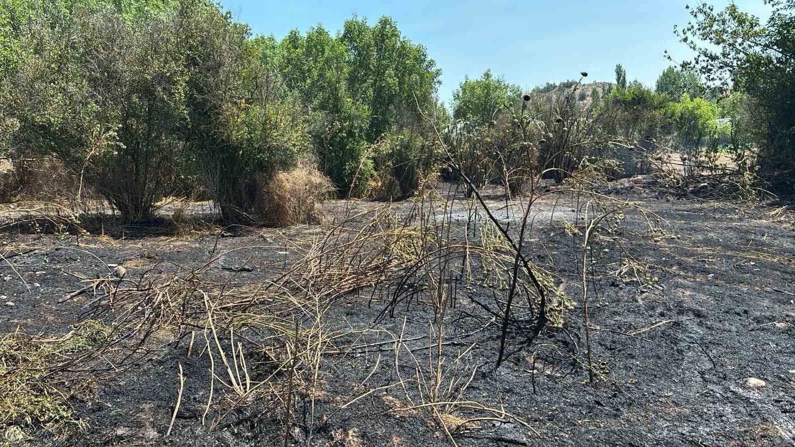 Bilecik’te otluk alanda yangın çıktı