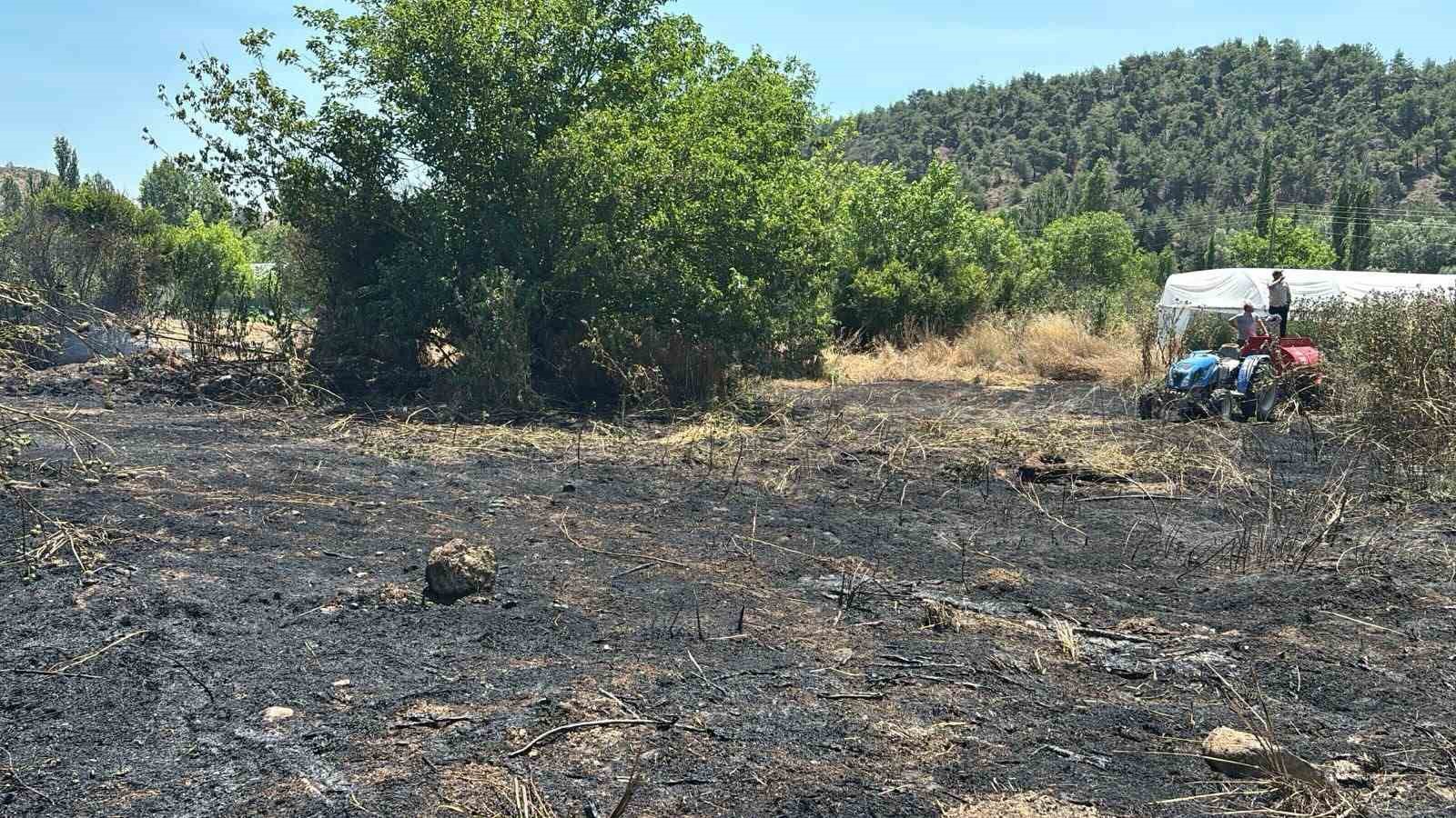 Bilecik’te otluk alanda yangın çıktı