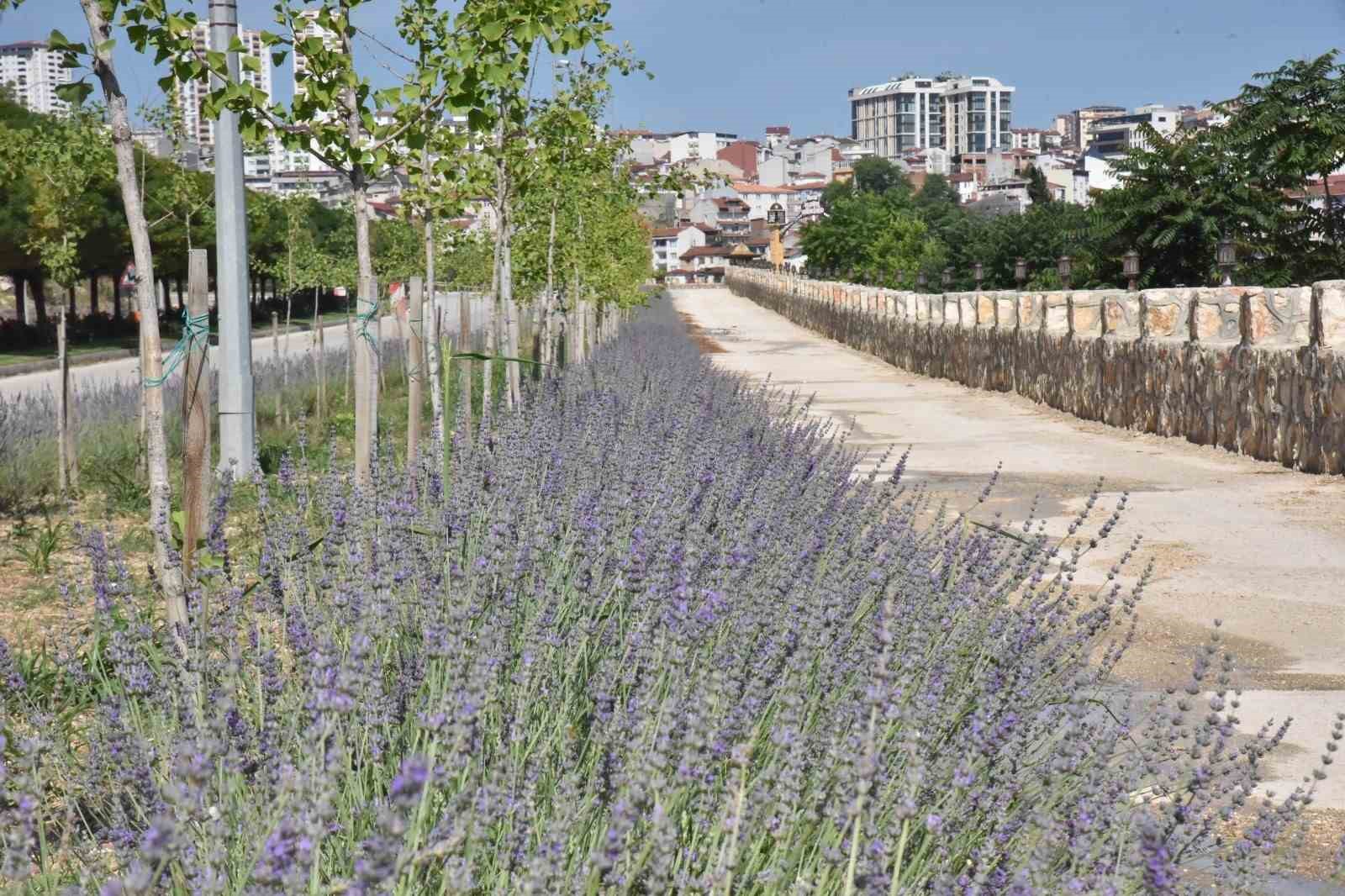 60 ülkeden 381 proje arasında Bilecik ve İstanbul yer aldı