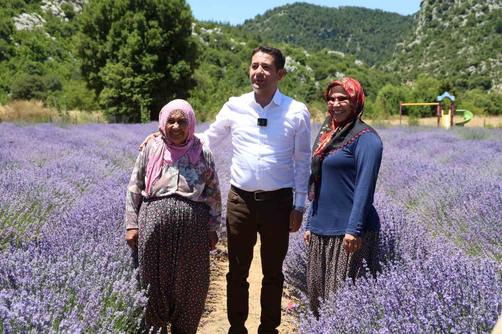 Adana sıcağından kaçanlar lavanta bahçelerine akın etti