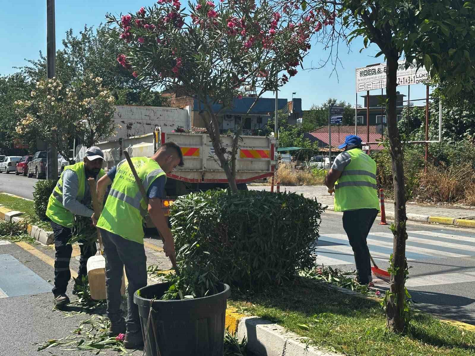 Efeler’de yeşil alanlar Büyükşehir ekipleriyle yenileniyor