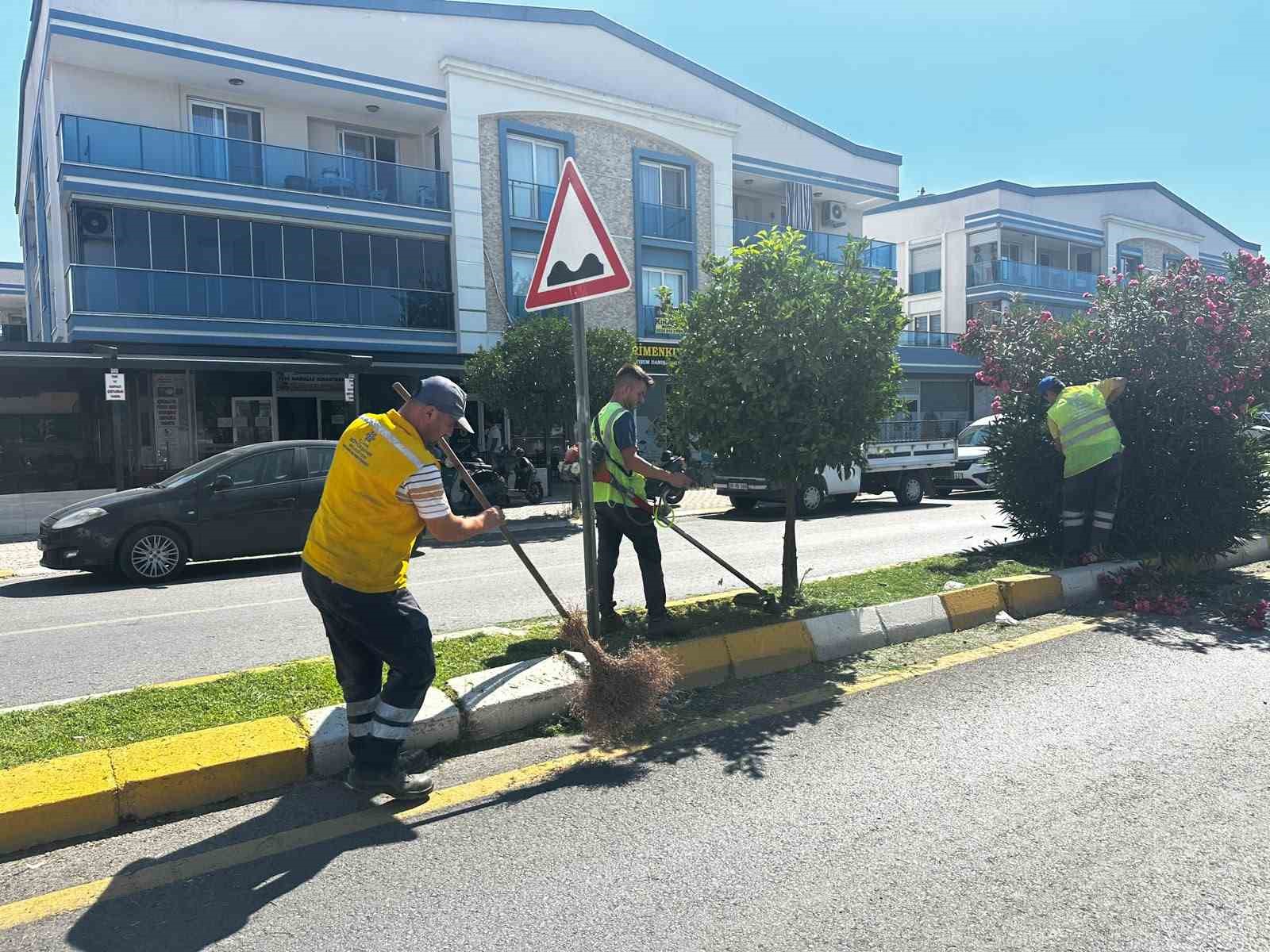 Efeler’de yeşil alanlar Büyükşehir ekipleriyle yenileniyor