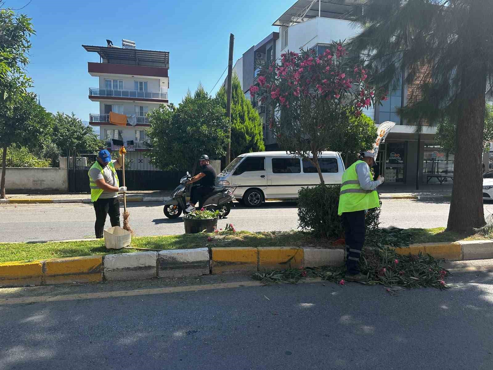 Efeler’de yeşil alanlar Büyükşehir ekipleriyle yenileniyor
