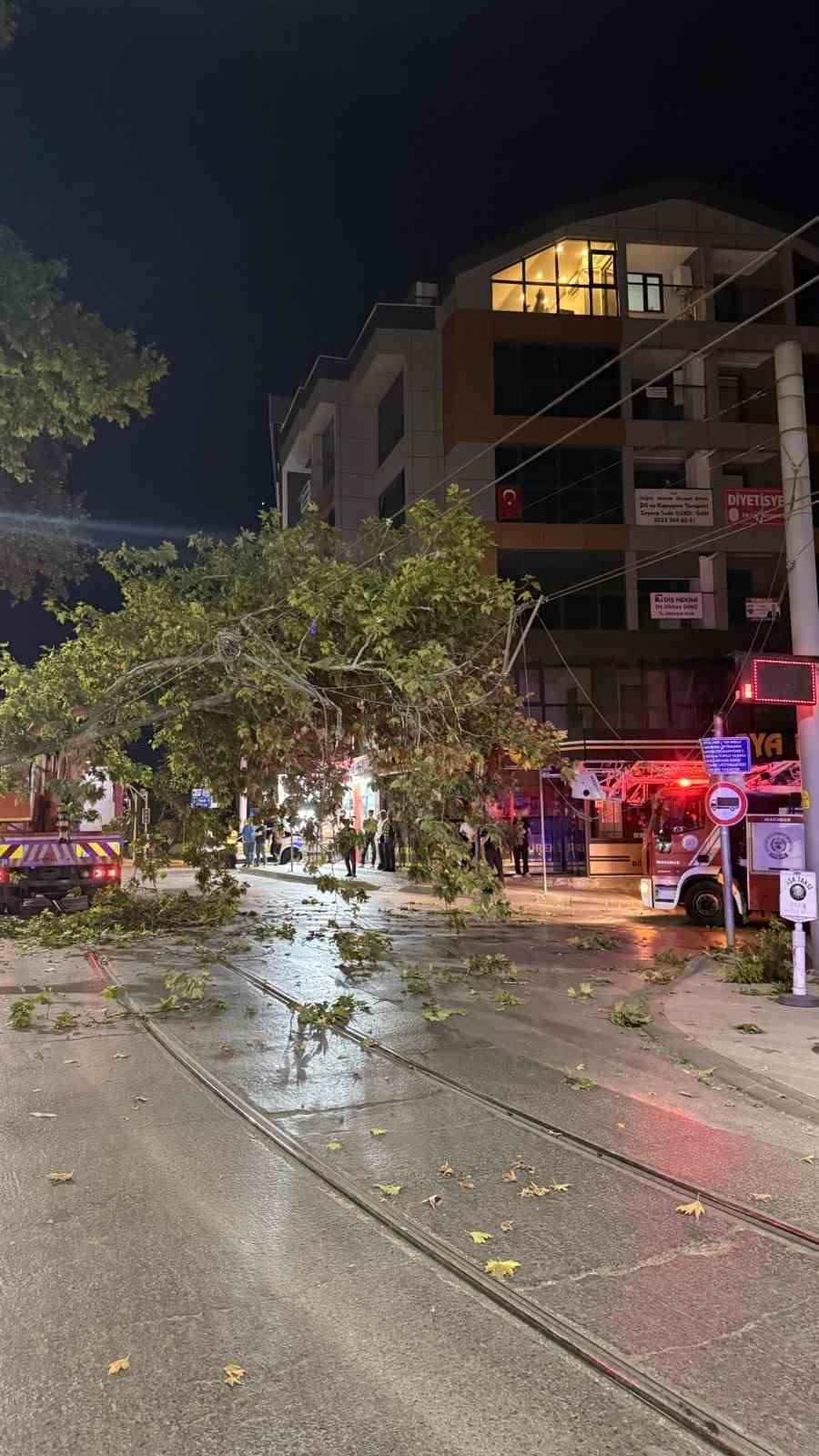 Tramvay hattına düşen dal seferleri aksattı