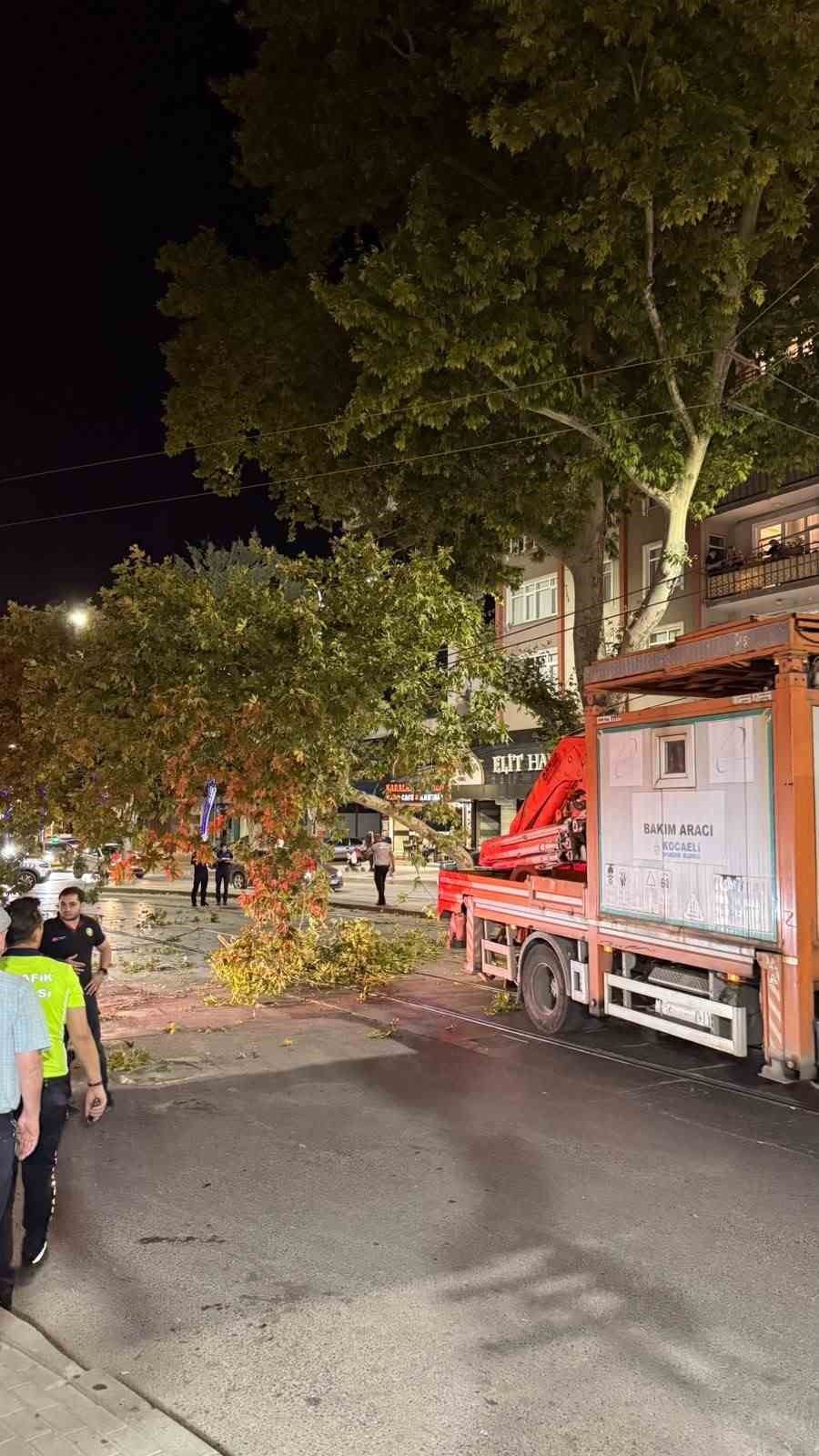 Tramvay hattına düşen dal seferleri aksattı