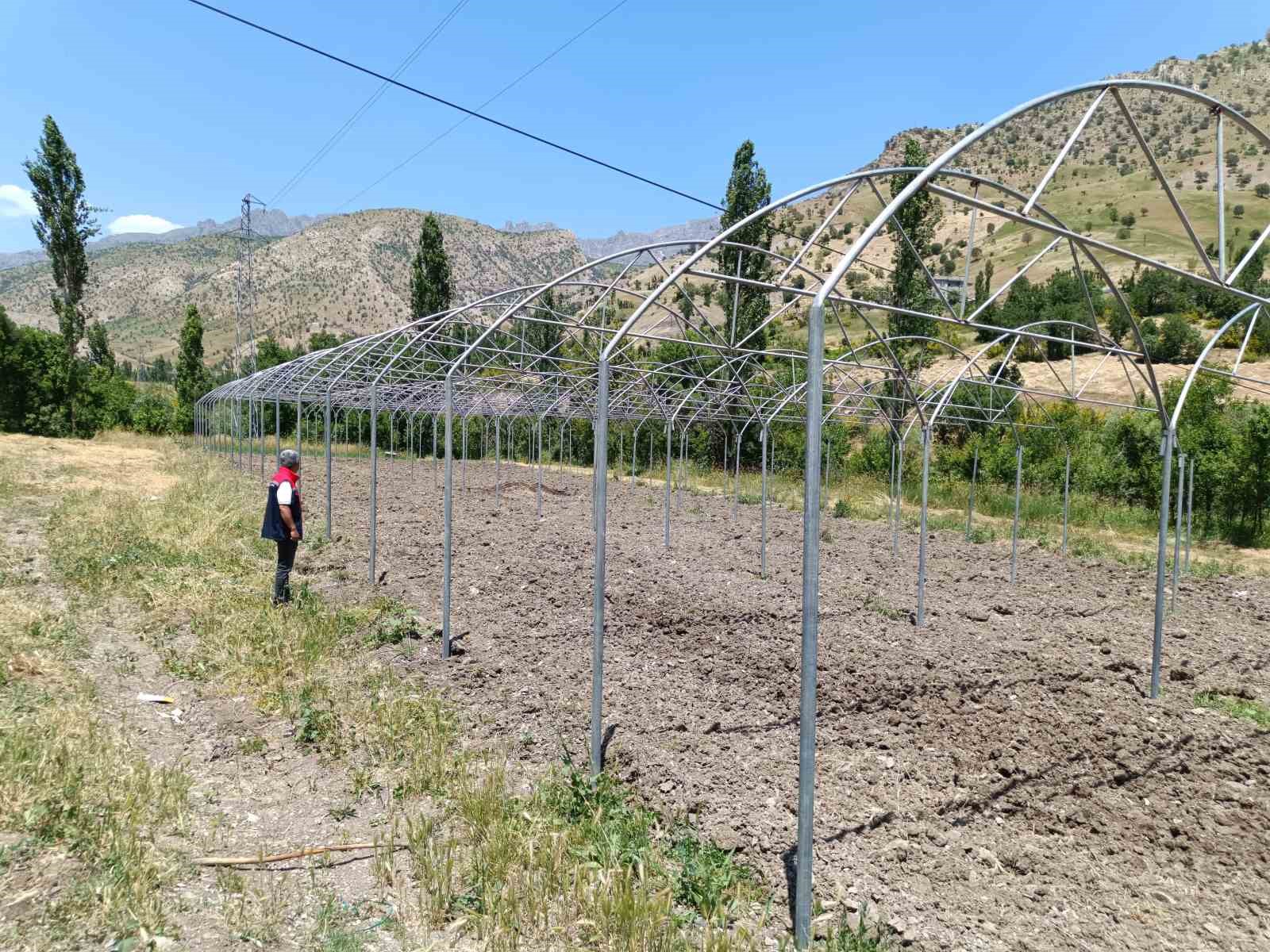 Şırnak’ta sera yatırımları yerinde incelendi