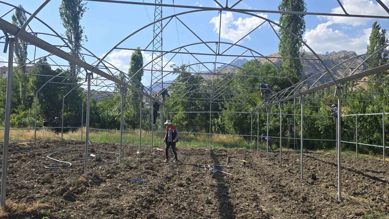 Şırnak’ta sera yatırımları yerinde incelendi