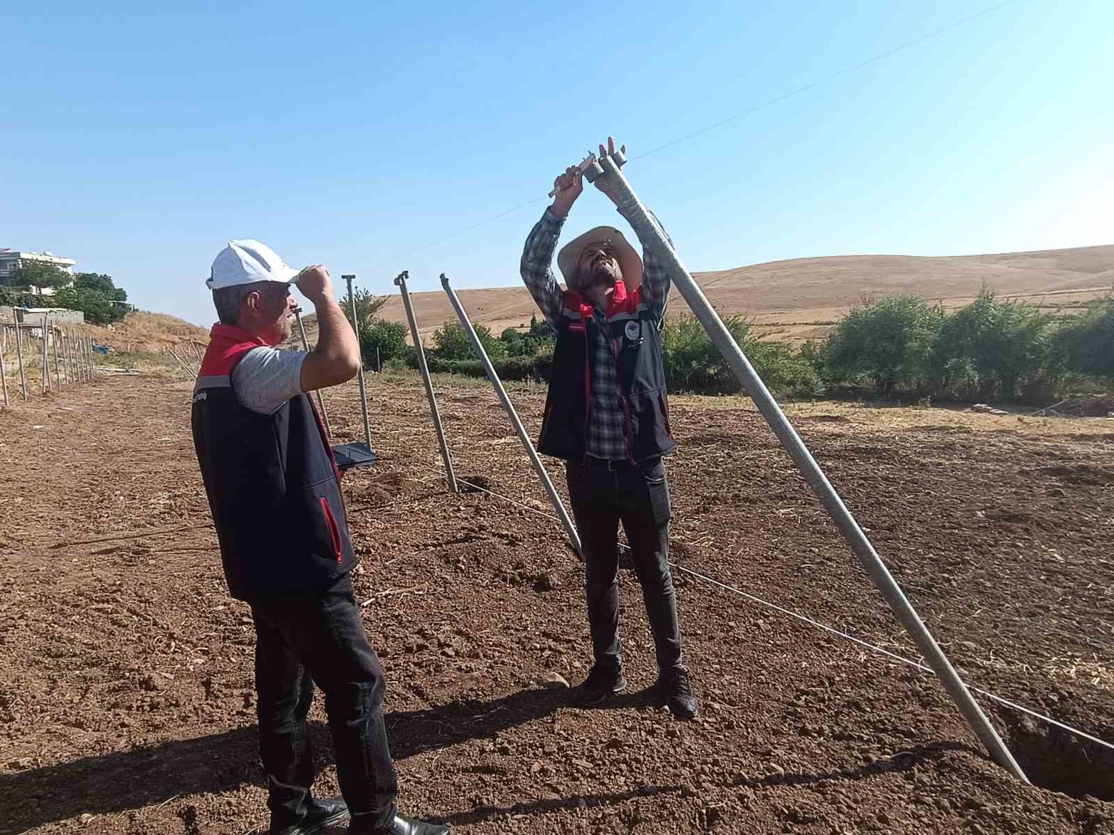 Şırnak’ta sera yatırımları yerinde incelendi