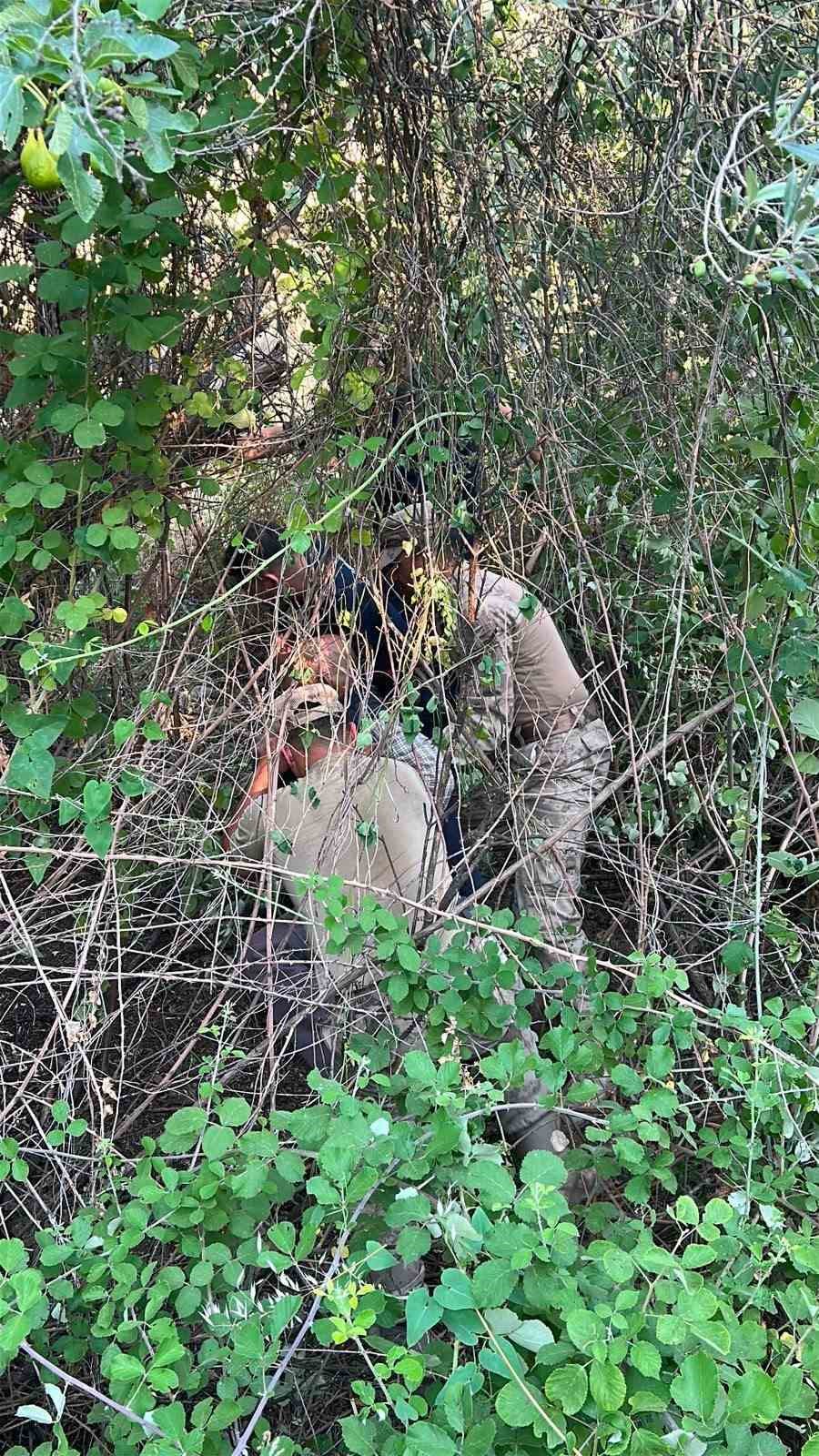 Havran’da kaybolan alzaymır hastası 8 saat sonra jandarma ekiplerince sağ olarak bulundu