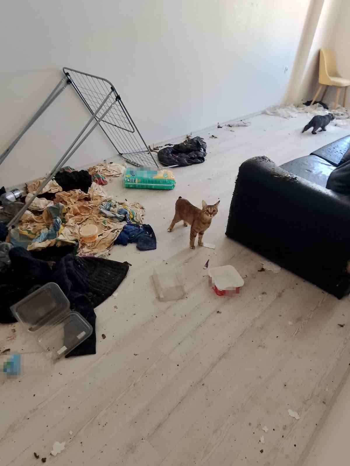 Komşuları taşınmak zorunda bırakan koku ihbarında şoke eden manzara