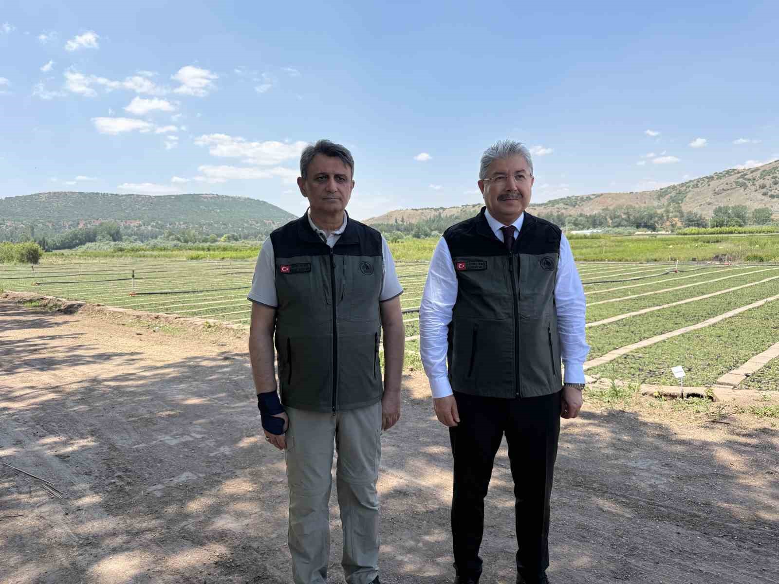 Eskişehir’den yangın bölgelerine gönderilen milyonlarca fidan ’nefes’ olacak