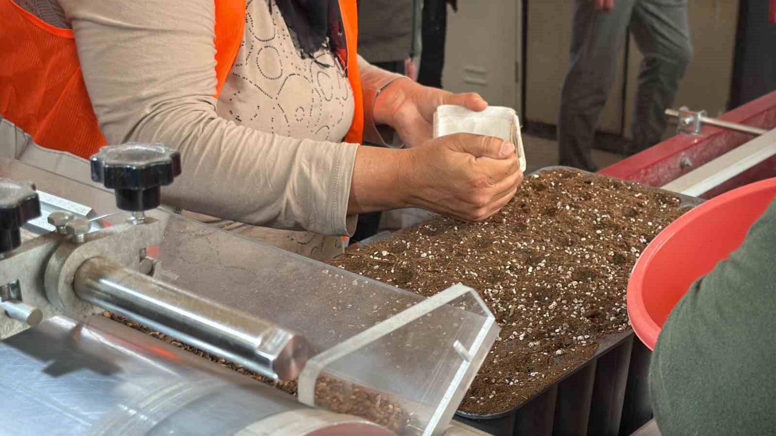 Eskişehir’den yangın bölgelerine gönderilen milyonlarca fidan ’nefes’ olacak