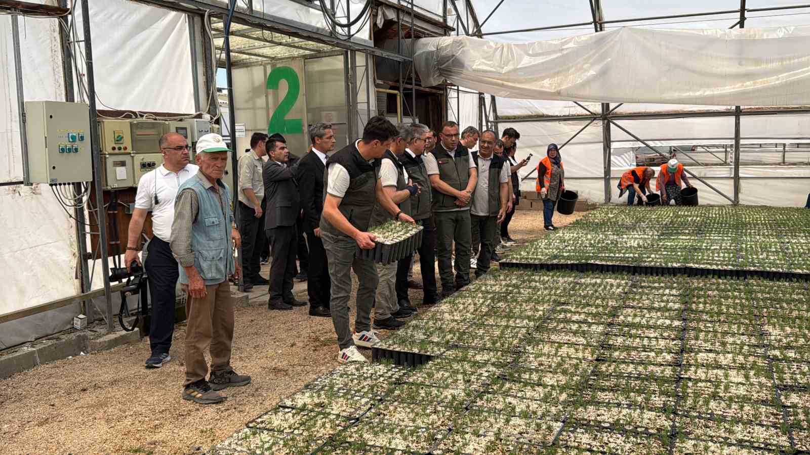 Eskişehir’den yangın bölgelerine gönderilen milyonlarca fidan ’nefes’ olacak