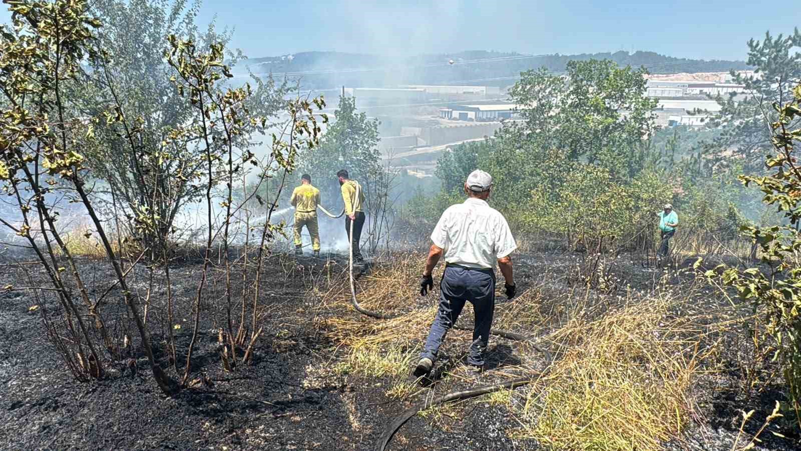 Anız yangını kontrolden çıkıp ormana sıçradı