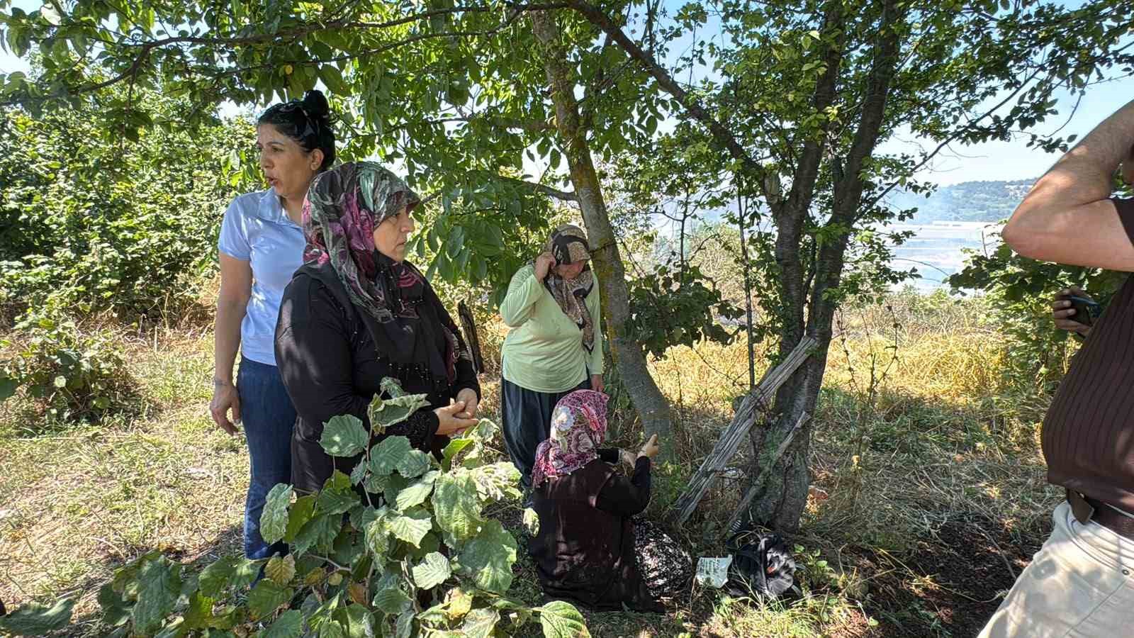Anız yangını kontrolden çıkıp ormana sıçradı
