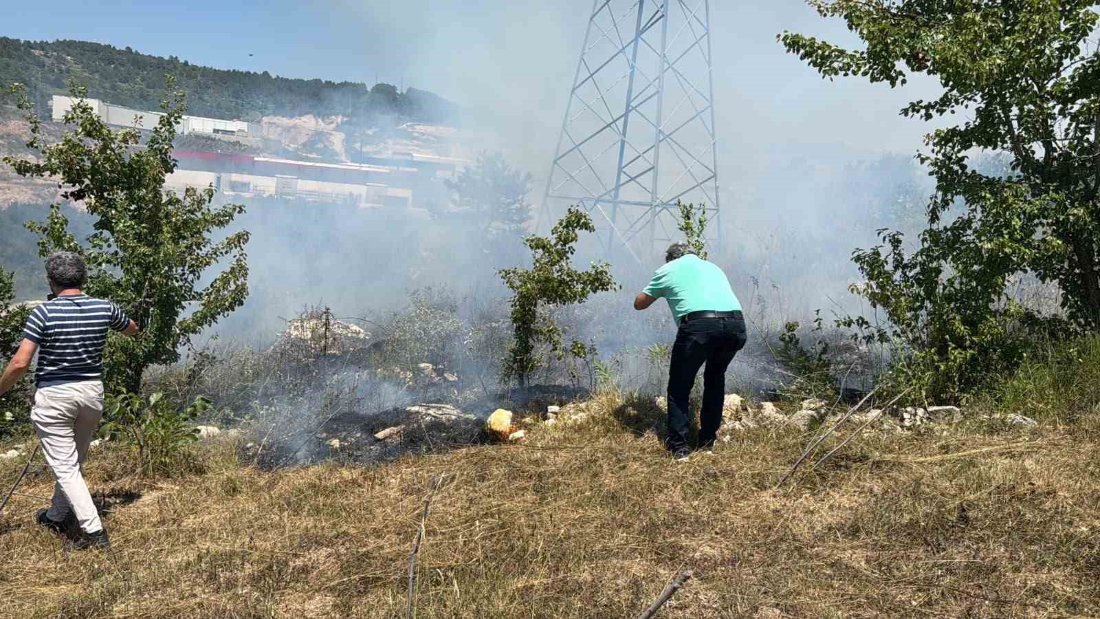 Anız yangını kontrolden çıkıp ormana sıçradı