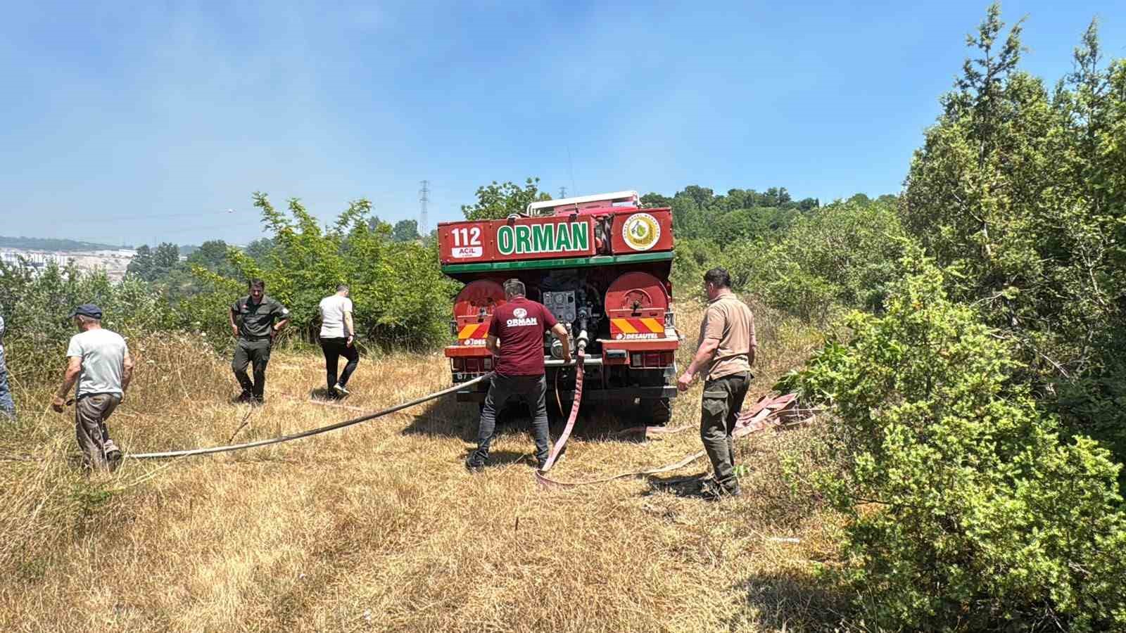 Anız yangını kontrolden çıkıp ormana sıçradı