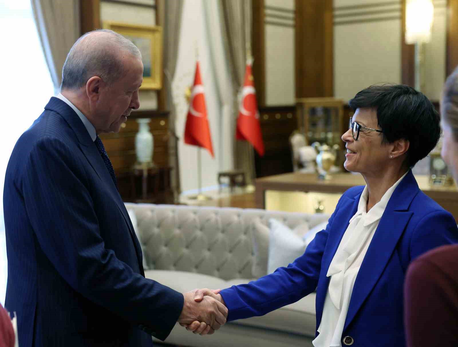 Cumhurbaşkanı Erdoğan, AB temsilcilerini kabul etti