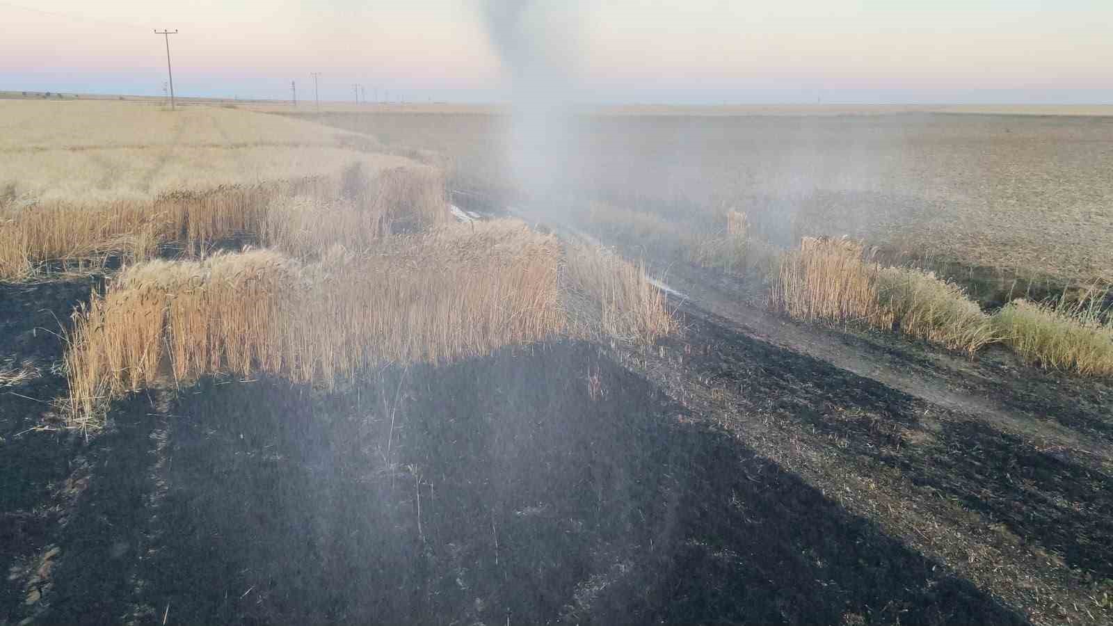Kulu’da arpa ekili tarlada yangın
