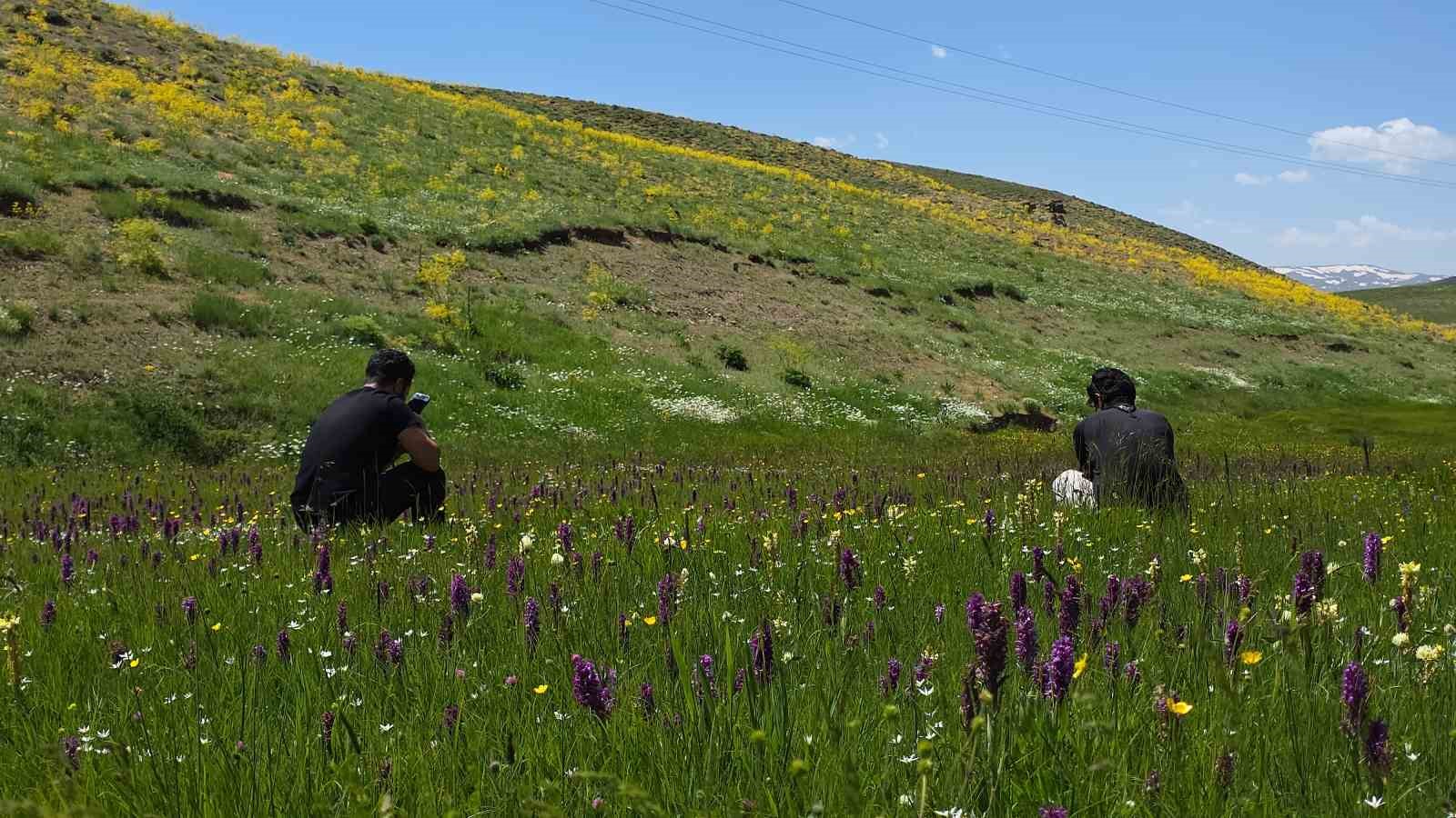 Van’ın yaylaları, çiçekleri ve karlı zirveleriyle mest ediyor