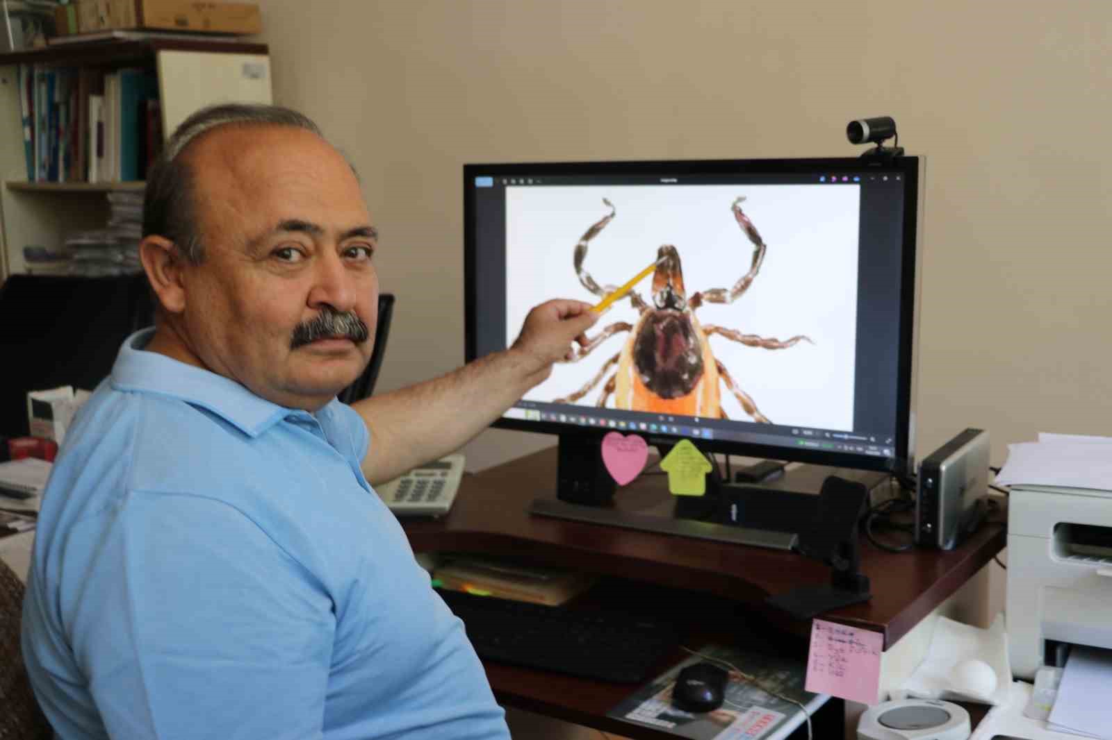 Uzmanı uyardı: "Keneler gölgeyi seviyor, bir kene yaklaşık 10 bin yumurta bırakabiliyor"