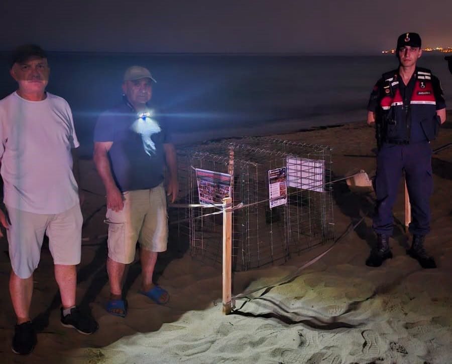 Kuşadası’nda caretta caretta heyecanı: İlk yuva koruma altına alındı