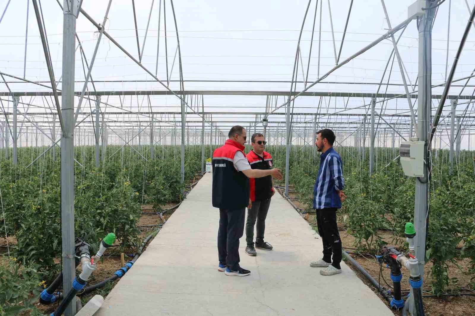 Erzincan’da seracılık faaliyetleri yerinde incelendi