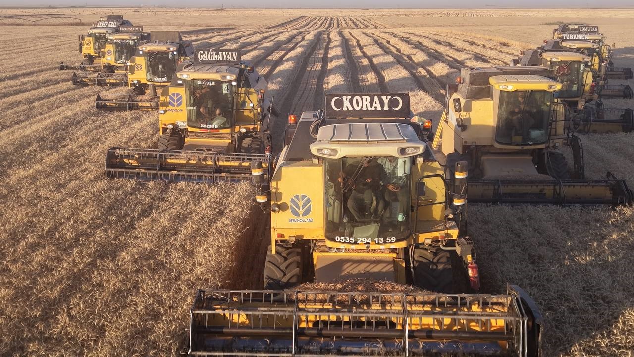 Dünyanın en büyük tarım arazisinde 238 biçerdöver ile hasat