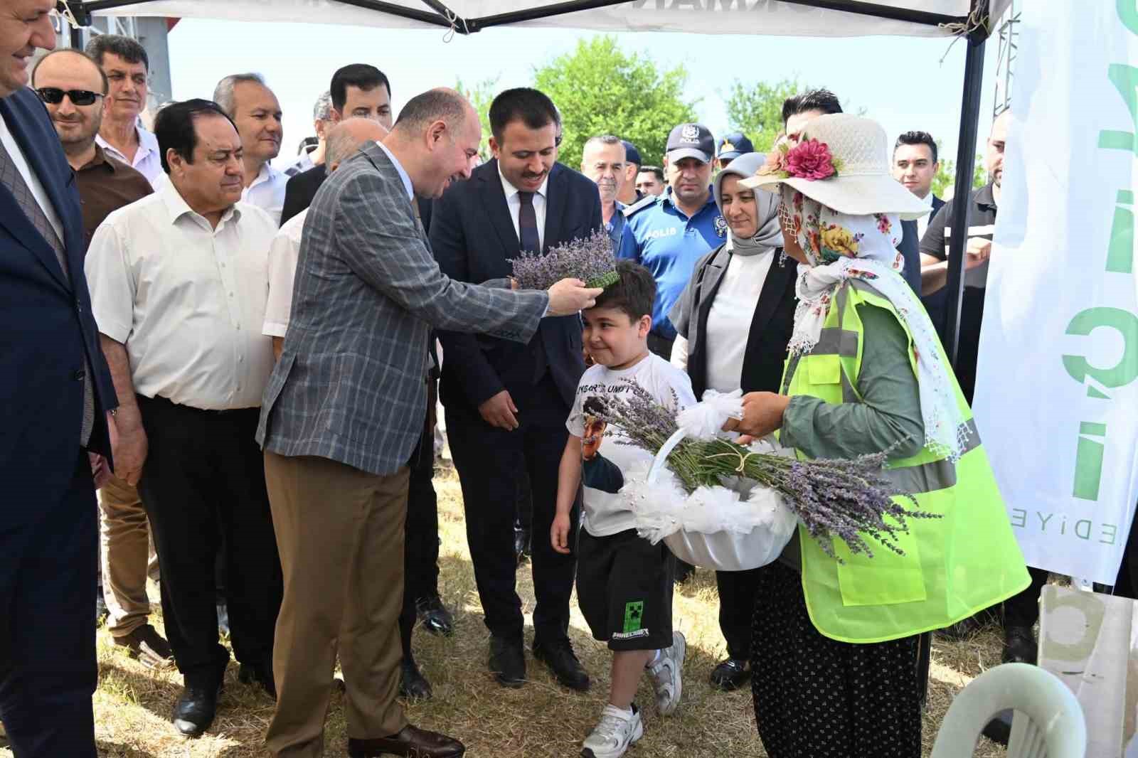 Lavanta hasadının bereketi Uygar’a umut olacak